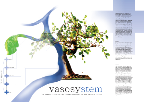 Vasosystem Anchor - Vein Tree